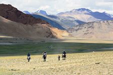 India-Ladakh-Himalaya Horse Safari